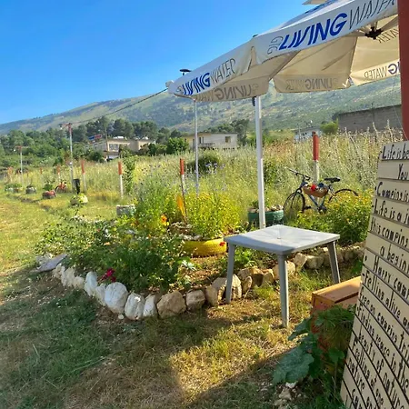 Viroi * Gjirokaster